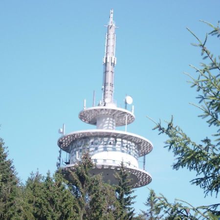 Haus Am Wald Lägenhet Hillscheid Exteriör bild