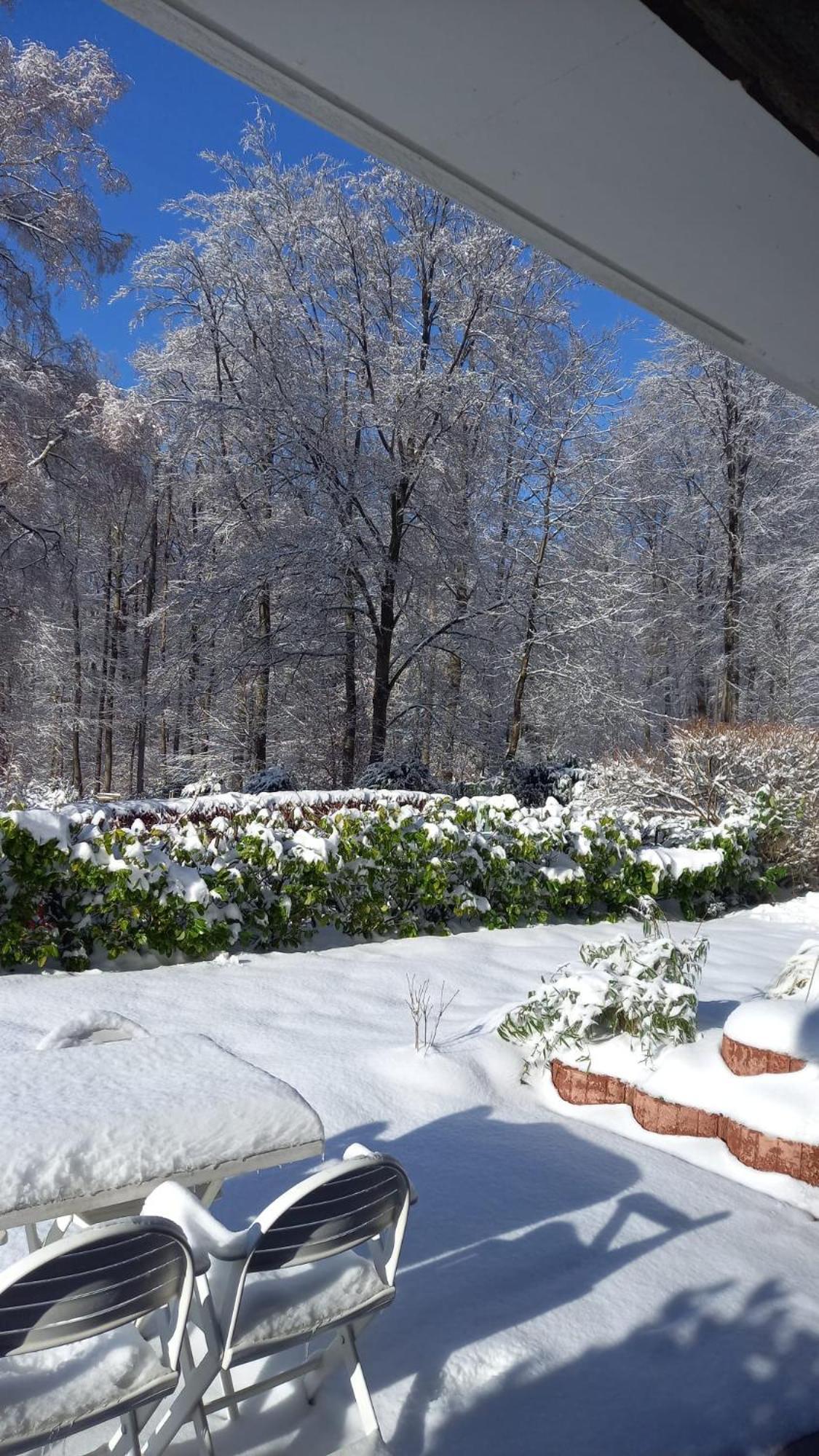 Haus Am Wald Lägenhet Hillscheid Exteriör bild