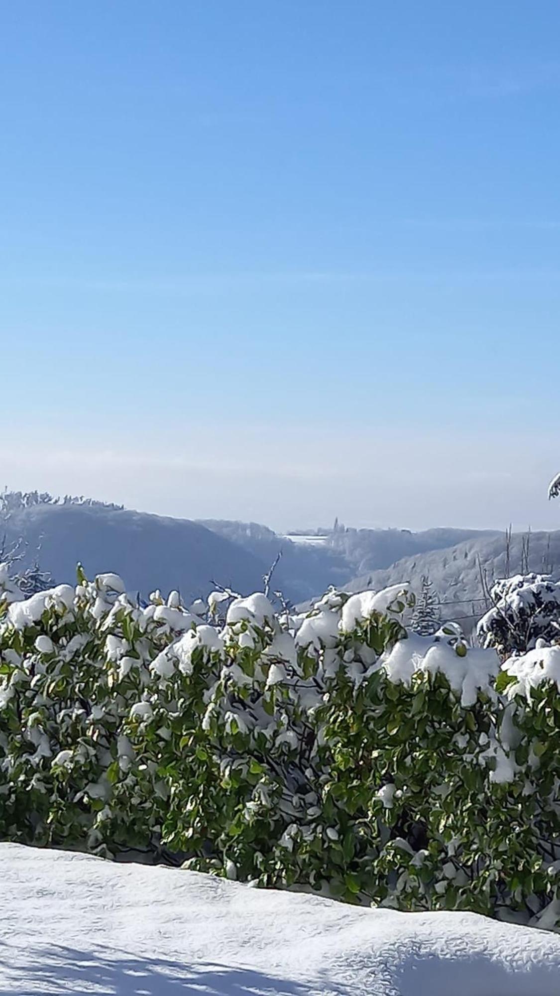 Haus Am Wald Lägenhet Hillscheid Exteriör bild