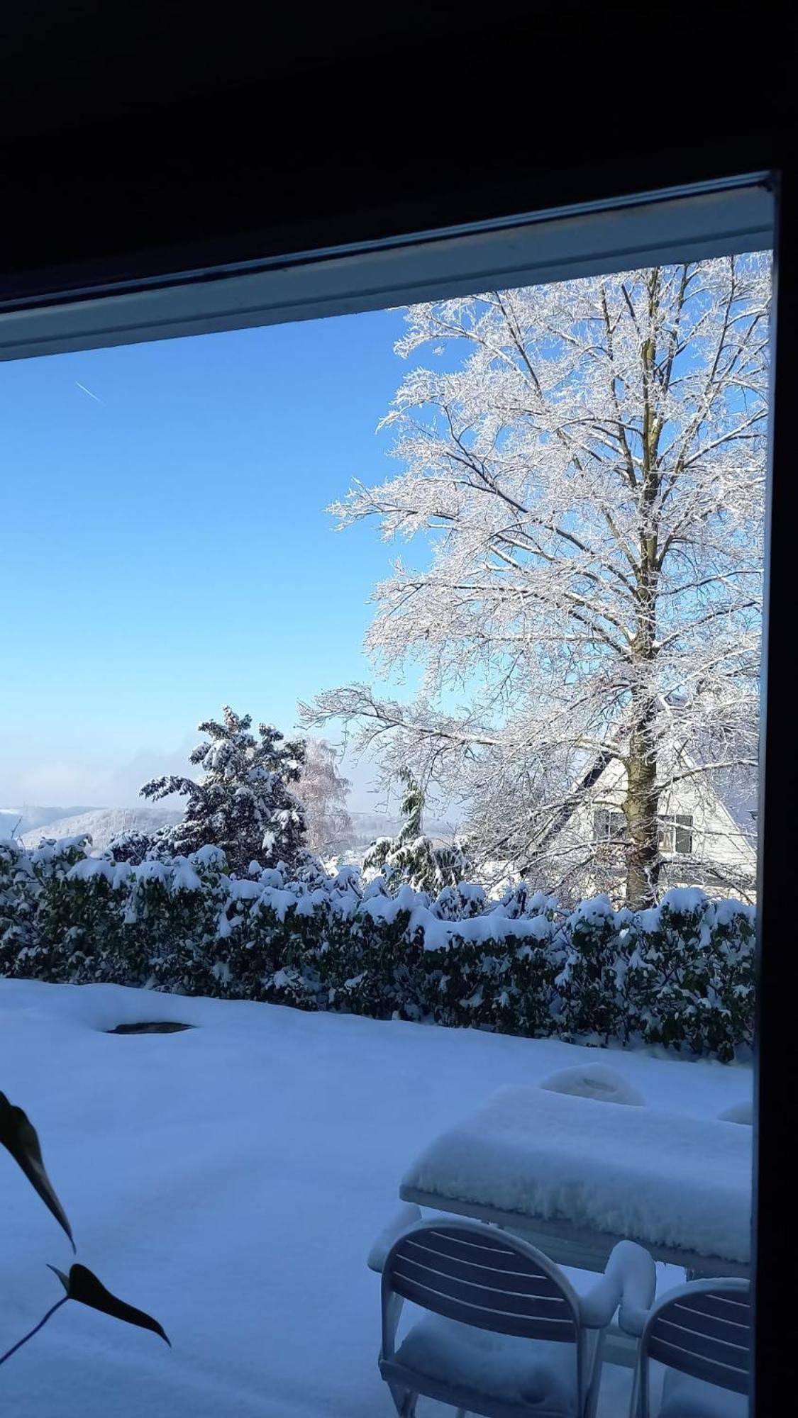 Haus Am Wald Lägenhet Hillscheid Exteriör bild