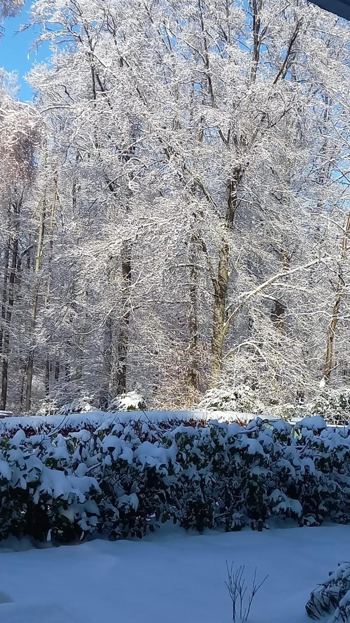 Haus Am Wald Lägenhet Hillscheid Exteriör bild