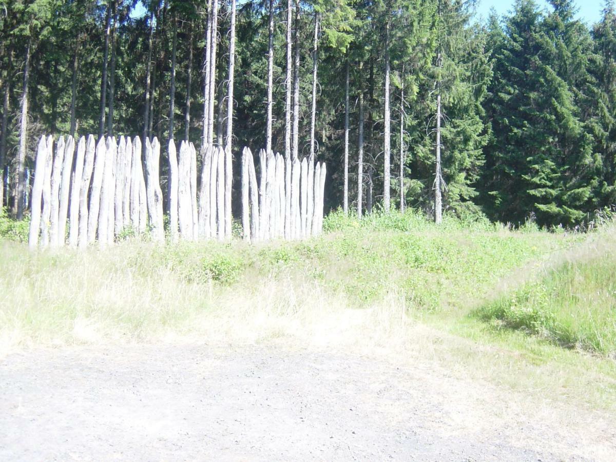 Haus Am Wald Lägenhet Hillscheid Exteriör bild