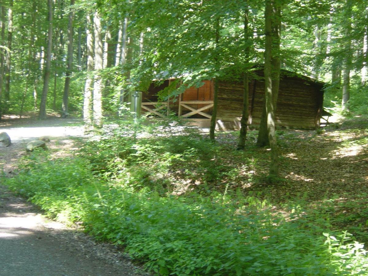 Haus Am Wald Lägenhet Hillscheid Exteriör bild